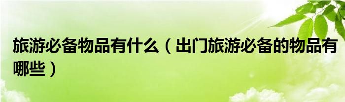 旅游必备物品有什么(出门旅游必备的物品有哪些)