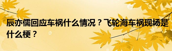 辰亦儒回应车祸什么情况？飞轮海车祸现场是什么梗？