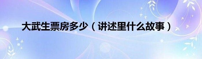 大武生票房多少(讲述里什么故事)