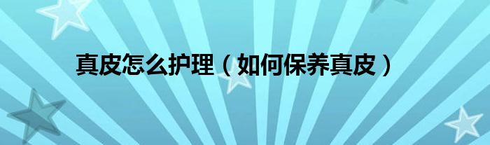 真皮怎么护理(如何保养真皮)