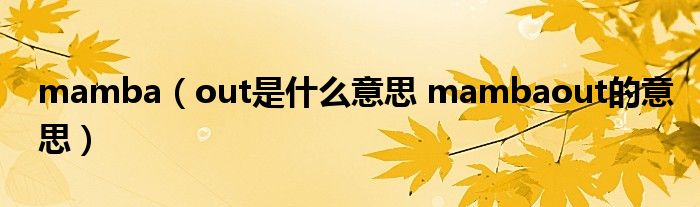 mamba(out是什么意思 mambaout的意思)