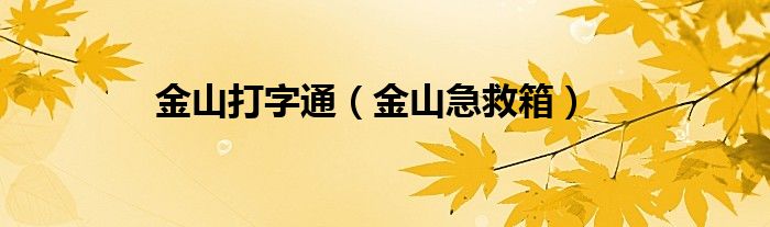 金山打字通（金山急救箱）
