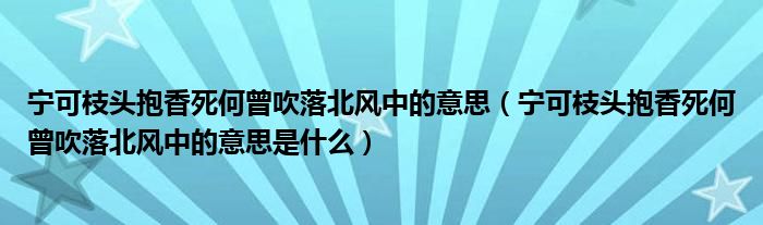 宁可枝头抱香死何曾吹落北风中的意思（宁可枝头抱香死何曾吹落北风中的意思是什么）