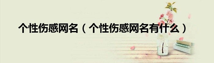 个性伤感网名(个性伤感网名有什么)