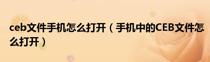 ceb文件手机怎么打开(手机中的CEB文件怎么打开)