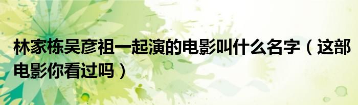 林家栋吴彦祖一起演的电影叫什么名字(这部电影你看过吗)