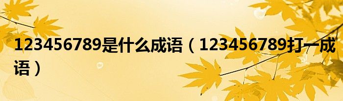 123456789是什么成语(123456789打一成语)