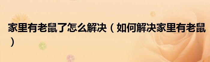 家里有老鼠了怎么解决(如何解决家里有老鼠)