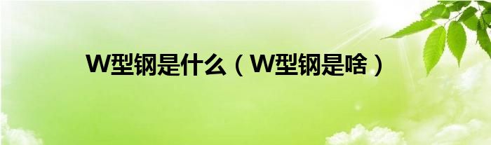 W型钢是什么（W型钢是啥）