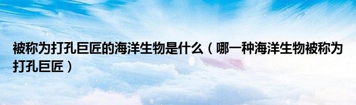 被称为打孔巨匠的海洋生物是什么(哪一种海洋生物被称为打孔巨匠)