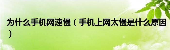 为什么手机网速慢(手机上网太慢是什么原因)