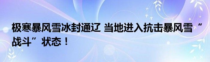 极寒暴风雪冰封通辽 当地进入抗击暴风雪“战斗”状态!