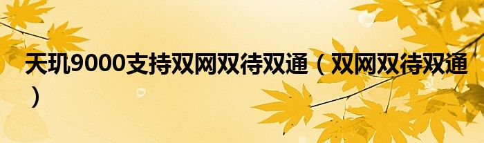 天玑9000支持双网双待双通（双网双待双通）