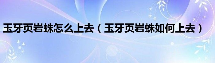 玉牙页岩蛛怎么上去(玉牙页岩蛛如何上去)