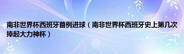 南非世界杯西班牙首例进球(南非世界杯西班牙史上第几次捧起大力神杯)
