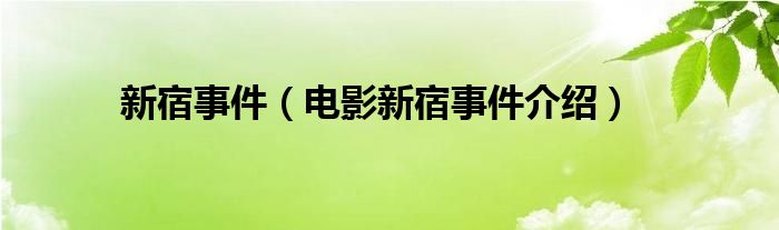 新宿事件（电影新宿事件介绍）