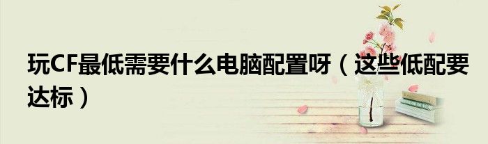 玩CF最低需要什么电脑配置呀(这些低配要达标)