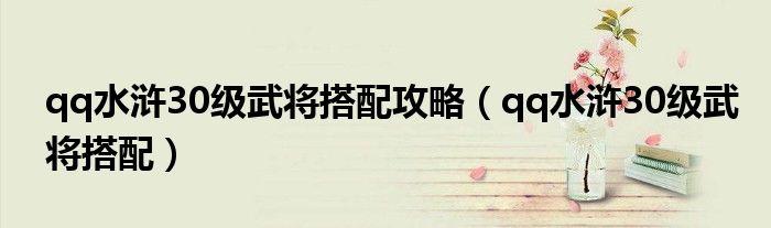 qq水浒30级武将搭配攻略(qq水浒30级武将搭配)
