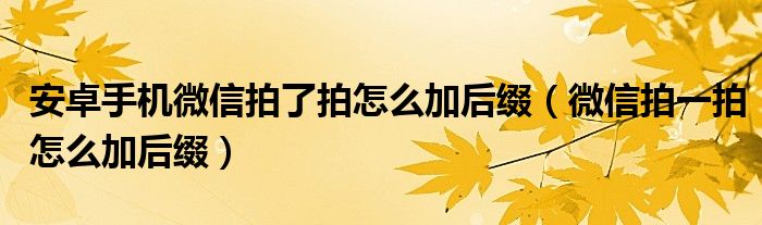 安卓手机微信拍了拍怎么加后缀(微信拍一拍怎么加后缀)