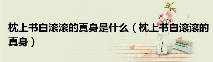 枕上书白滚滚的真身是什么(枕上书白滚滚的真身)
