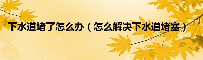 下水道堵了怎么办(怎么解决下水道堵塞)