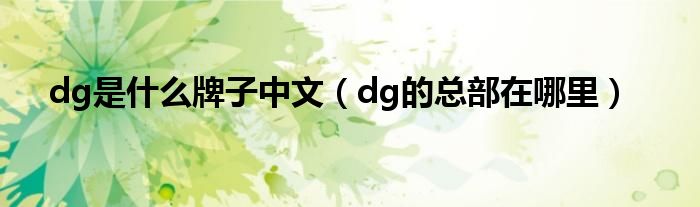 dg是什么牌子中文（dg的总部在哪里）
