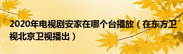 2020年电视剧安家在哪个台播放（在东方卫视北京卫视播出）