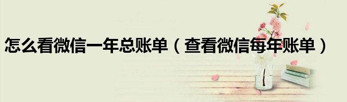 怎么看微信一年总账单(查看微信每年账单)
