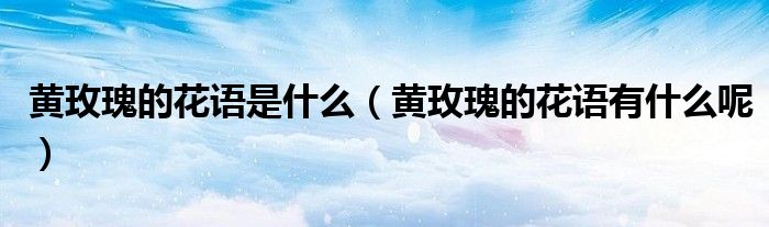 黄玫瑰的花语是什么(黄玫瑰的花语有什么呢)
