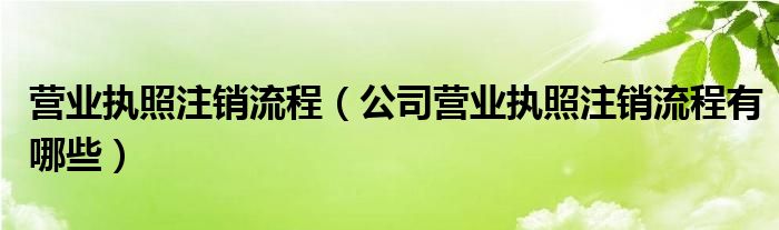 营业执照注销流程(公司营业执照注销流程有哪些)