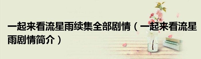 一起来看流星雨续集全部剧情(一起来看流星雨剧情简介)