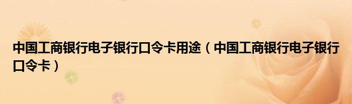 中国工商银行电子银行口令卡用途(中国工商银行电子银行口令卡)