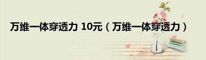 万维一体穿透力 10元(万维一体穿透力)