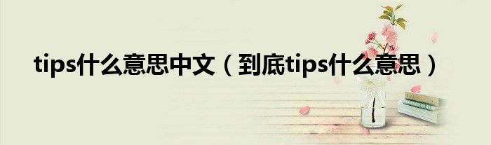 tips什么意思中文(到底tips什么意思)