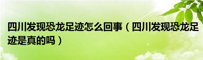 四川发现恐龙足迹怎么回事(四川发现恐龙足迹是真的吗)