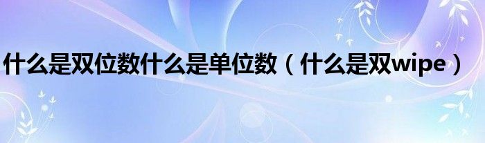 什么是双位数什么是单位数(什么是双wipe)