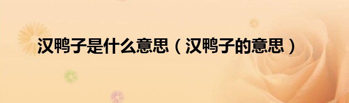 汉鸭子是什么意思(汉鸭子的意思)