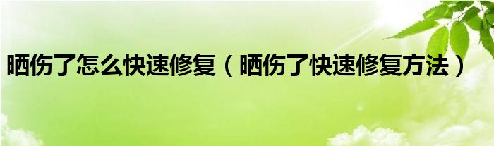 晒伤了怎么快速修复（晒伤了快速修复方法）