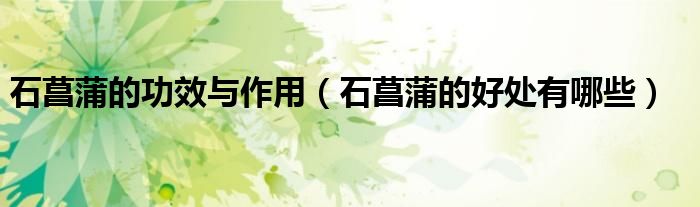 石菖蒲的功效与作用(石菖蒲的好处有哪些)