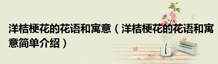 洋桔梗花的花语和寓意(洋桔梗花的花语和寓意简单介绍)