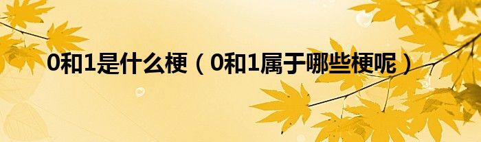 0和1是什么梗(0和1属于哪些梗呢)