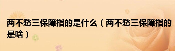 两不愁三保障指的是什么(两不愁三保障指的是啥)