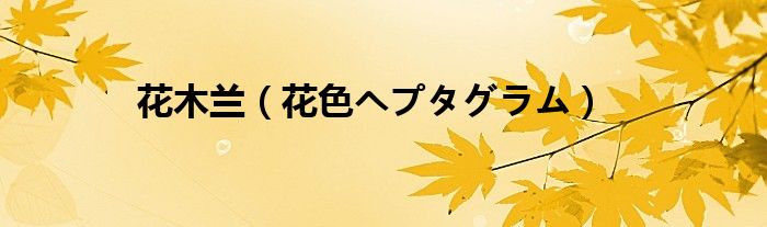 花木兰（花色ヘプタグラム）