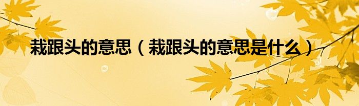 栽跟头的意思(栽跟头的意思是什么)