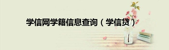 学信网学籍信息查询(学信贷)