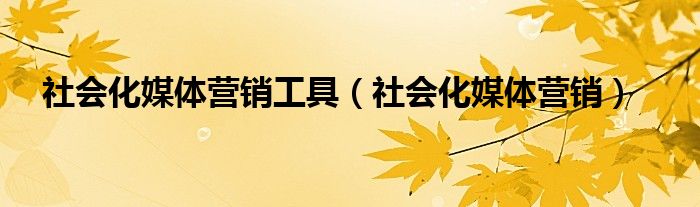 社会化媒体营销工具(社会化媒体营销)