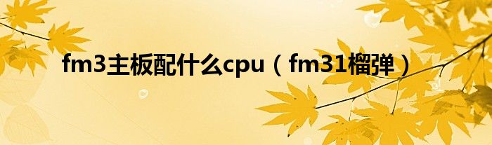 fm3主板配什么cpu(fm31榴弹)