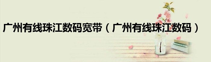 广州有线珠江数码宽带(广州有线珠江数码)