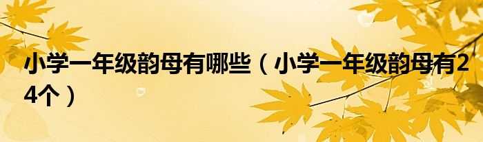 小学一年级韵母有哪些(小学一年级韵母有24个)