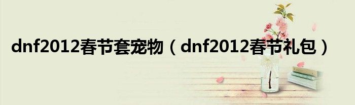dnf2012春节套宠物(dnf2012春节礼包)